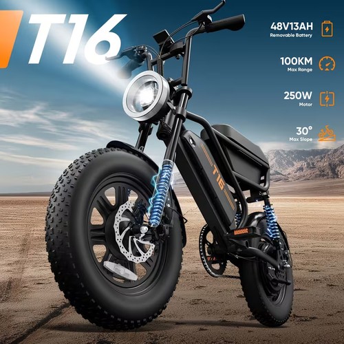 0 fat tire electric - 16''*3.0,